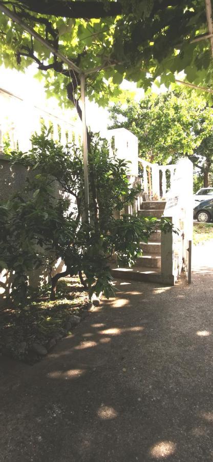 Sobe I Apartmani Marovic Petrovac Exterior foto